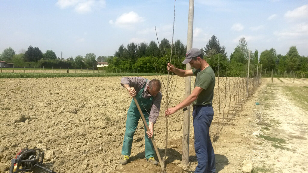 Lavorando nei Campi