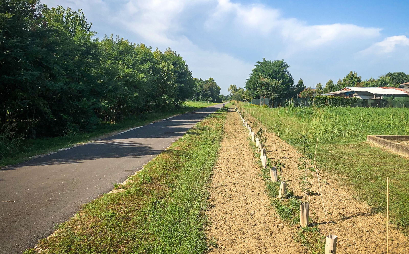 Immagine WhatsApp 2025-08-02 ore 20.56.19_9676e65c